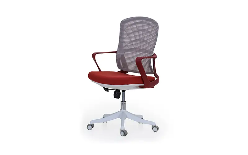 product-back